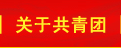 關于共青團